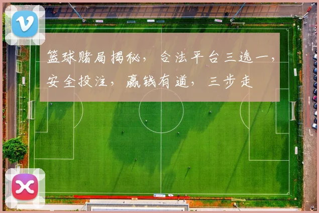 篮球赌局揭秘，合法平台三选一，安全投注，赢钱有道，三步走
