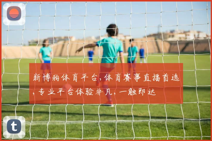 新博狗体育平台,体育赛事直播首选,专业平台体验非凡,一触即达