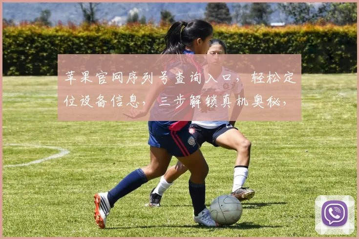 苹果官网序列号查询入口，轻松定位设备信息，三步解锁真机奥秘，助您快速验证。