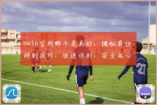bwin官网哪个是真的，揭秘真伪，辨别技巧，快速识别，安全放心
